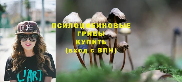 мет Гусиноозёрск